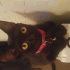 Zeytin