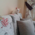 PAMUK