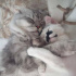 duman