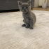 Mia