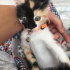Mia