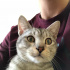 Duman