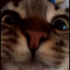 Minnoş