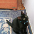 Zeytin