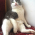 Mudu