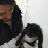 Zeytin