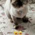 Mia