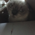 Duman