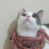 Duman
