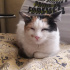 Pamuk