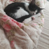 ZeYtiN