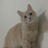 minnoş