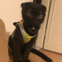 Zeytin