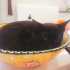 Zeytin