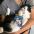 Zeytin