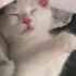 Minik