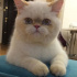 Casper