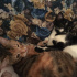 Maya ve Mia