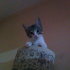 Casper