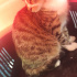 Boncuk