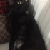 zeytin