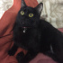 zeytin
