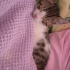 duman