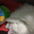 Casper