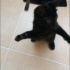 Zeytin