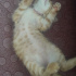 Murhpy