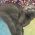 Duman