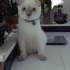 Casper