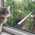 Duman