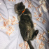 Behlül