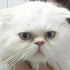 Casper