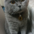 Duman3