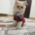 PAŞA