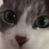 Gadu