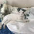 pamuk