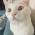 Casper