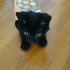 zeytin