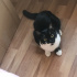 Zeytin