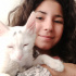 Bulut
