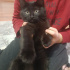 duman