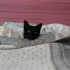 Pamuk