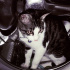 duman