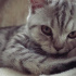 Ares