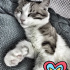 Mia