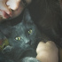 Duman