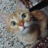 Şila